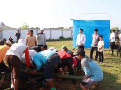 Polres Sembelih Hewan Qurban Sapi dan Kambing, Daging Dibagikan ke Warga Blora