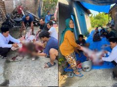 Desa Pengkok Sragen Rekor Terbanyak Sembelih Hewan Kurban, 171 Sapi dan 84 Kambing