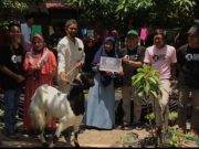 Ikuti Yuk, Kendal Lakon Award 2024, Sayembara Naskah Drama Berhadiah Kambing Etawa