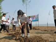 Kantah Batang Tanam Ratusan Bibit Pohon Cemara di Pantai Kuripan