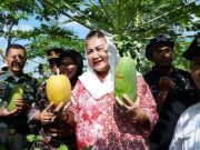 Pemkot Semarang Dorong Pengembangan Sistem Pertanian Terpadu