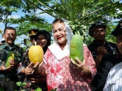 Pemkot Semarang Dorong Pengembangan Sistem Pertanian Terpadu