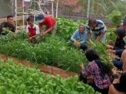 Pemkot Semarang Dorong Pemanfaatan Lahan Tidur untuk Urban Farming