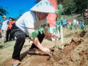 Gandeng Sejumlah Lembaga, PT Tambi Ajak Tanam Teh untuk Masa Depan