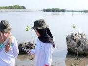 PLN UIK Tanjung Jati B Peringati Hari Lingkungan Hidup dengan Aksi Bersih Pantai dan Tanam Mangrove di Pesisir Jepara