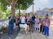 Cah Angon Watuaji Dapat Bantuan Kambing, Junarso: Kerja Sambilan yang Menguntungkan
