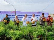 Harga Cabai Melambung Akibatkan Inflasi di Surakarta