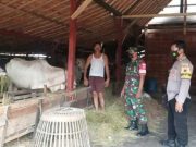 Blora Luncurkan ‘Gema Mbako’, Inovasi Kotoran Sapi jadi Pupuk Organik