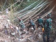 Warga Bersama Polisi dan Tentara Blora Bersihkan Dhangkel Bambu Penghambat Alisan Sungai Pelem