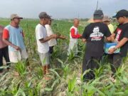 Telusuri Sawah, Relawan Bocahe Bapak Gelar Jumat Berkah Sarapan Bareng Para Petani di Grobogan