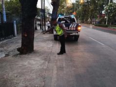 Sepeda Motor Tabrak Pohon di Jalan Diponegoro Purwodadi, Pengendara Luka Parah