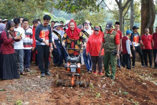 Panen 400 Kilogram Bawang Merah, Mbak Ita Beberkan Kota Semarang Daulat Pangan