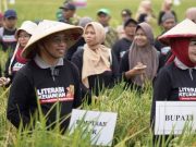 OJK Jateng Dorong Peningkatan Akses Keuangan Sektor Pertanian