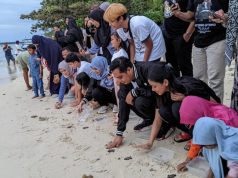 Witiarso Utomo Ajak Masyarakat Karimunjawa Tanam Mangrove dan Lepasliarkan Tukik