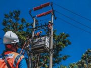 Setor Dividen Rp3,09 Triliun, Kementerian BUMN Dukung PLN Lanjutkan Transformasi Bisnis