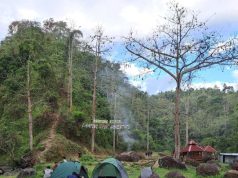 Tawarkan Eksotika Alam, Objek Wisata Kali Dayung Batealit Ramai Pengunjung