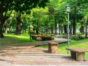 Taman Kota untuk Atasi Pemanasan Global