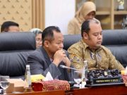 PLN Ajukan 3 Triliun PMN 2025 Untuk Bangun Kelistrikan Daerah Terpencil