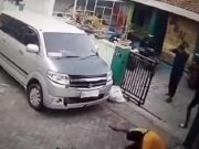 Pelaku Penembakan Kucing di Krobokan Semarang Ditangkap, Dinas Peternakan Periksa Penyebab Kematian