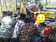 Gantung Diri di Pohon Jambu Mete
