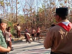 Pohon Tumbang, 19 Siswa Peserta Upacara Pramuka Luka