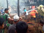 Api Sampah Membakar Kandang Ternak dan Lahan Tepi Hutan