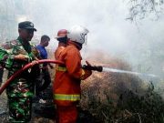 Rumah Peternakan Terbakar, Sekitar 15 Ribu Ekor Ayam Musnah