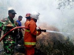 Rumah Peternakan Terbakar, Sekitar 15 Ribu Ekor Ayam Musnah