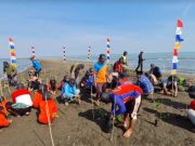 Square Resources Holdings Tanam 50.000 Pohon Mangrove di Kawasan Wisata Pesisir Pandansari Brebes