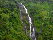 Desa Wisata Muncar Moncer, Sejuknya Alam Hijau dan Nikmatnya Kopi