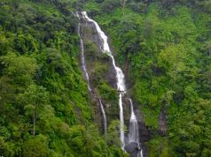 Desa Wisata Muncar Moncer, Sejuknya Alam Hijau dan Nikmatnya Kopi