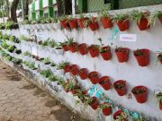 Cegah Pemanasan Global, SMKN 3 Jepara Membuat Vertical Garden
