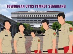 Pemkot Semarang Buka 331 Formasi CPNS 2024 untuk Kategori Kesehatan dan Tenaga Teknis