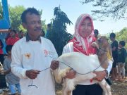 Tubanan Gelar Upacara dan Jalan Sehat Berhadiah Kambing