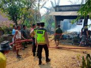 Dua Rumah di Trisari Kecamatan Gubug Grobogan Ludes Terbakar