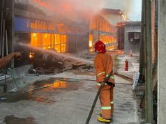 Kandang Ayam di Hadipolo Terbakar, 36 Ribu Anak Ayam Terpanggang