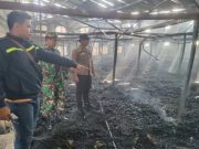 Kandang Ayam di Gubug Ludes Terbakar, 16 Ribu Anak Ayam Mati Terpanggang
