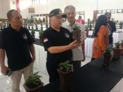 Kontes Nasional Sansevieria, Wabup Wonosobo : “Hidupkan Kota Bunga!”