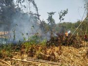 Hari Ini Dua Kali Kebakaran, Kabid Damkar Surana: Hati-hati Pembakaran Sampah