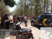 Dua Siswa SMAN 1 Kembang Tertimpa Pohon Jengkol yang Tumbang, Ini Akibatnya