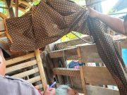 Seorang Nenek Meninggal Gantung Diri di Kandang Ayam