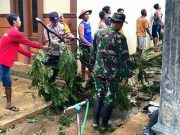 Puting Beliung, Tumbangkan Pepohonan dan Merusak Rumah Warga