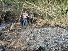 Bakar Sampah di Pekarangan, Kakek di Rowokele Tewas Terbakar