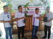 Destinasi Wisata Gunung Telomoyo Terima Bantuan Bibit Tanaman dari Artos Mall Magelang