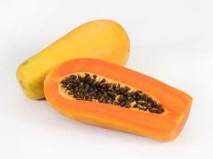 Manfaat Buah Pepaya bagi Kesehatan Tubuh