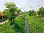 Pemkot Semarang Pastikan Pembebasan Lahan Normalisasi Sungai Plumbon Dimulai Desember