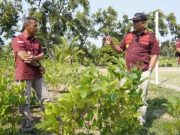 Kemenkumham Jateng Dorong Pembinaan Kemandirian Lapas Terbuka Kendal
