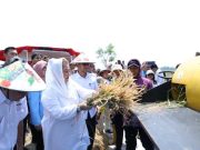 Pemkot Semarang dan BRIN Siap Jadikan Semarang Pioner Budi Daya Pangan Berkelanjutan