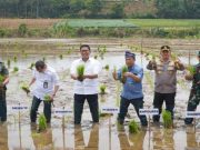 Petani Jepara Terima Bantuan Alat Pertanian, Wamentan Janji Akan Benahi Tata Niaga Pupuk