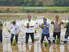 Petani Jepara Terima Bantuan Alat Pertanian, Wamentan Janji Akan Benahi Tata Niaga Pupuk